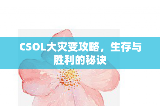 CSOL大灾变攻略图片