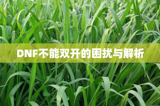 DNF不能双开的困扰与解析图片