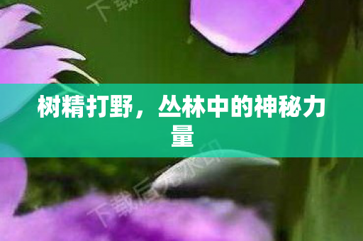 丛林中的神秘力量图片