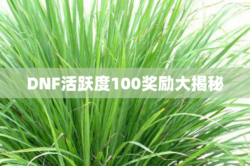 DNF活跃度100奖励大揭秘图片