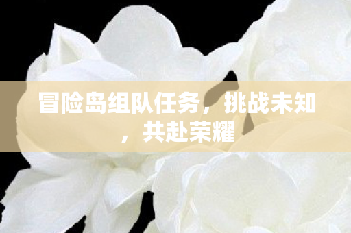 冒险岛组队任务图片