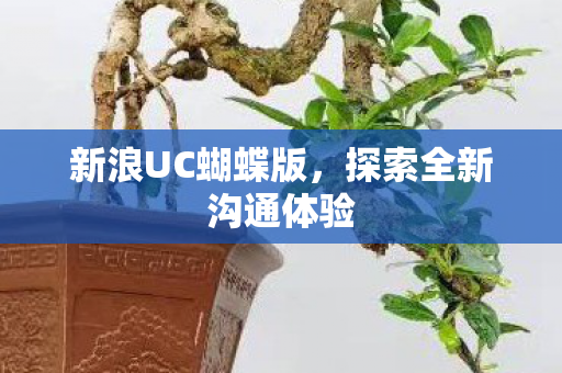 探索全新沟通体验图片