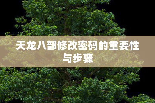 天龙八部修改密码的重要性与步骤图片