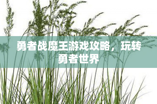 勇者战魔王游戏攻略图片