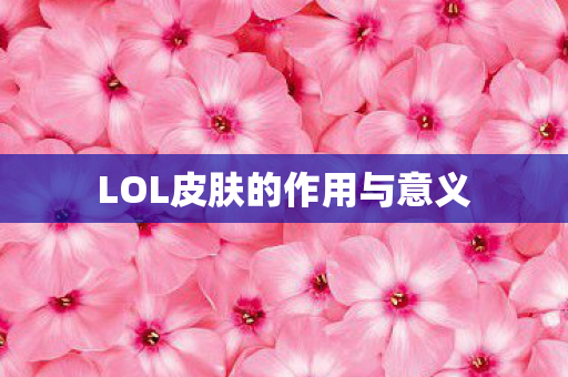 LOL皮肤的作用与意义图片