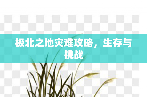 极北之地灾难攻略图片