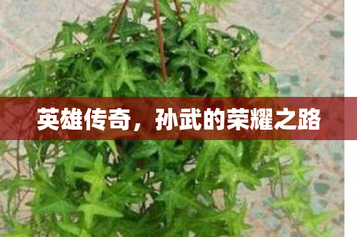孙武的荣耀之路图片