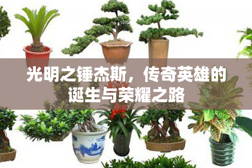 传奇英雄的诞生与荣耀之路图片