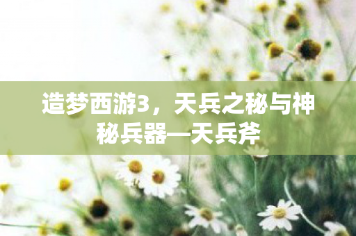 天兵之秘与神秘兵器图片