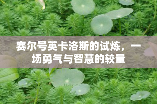赛尔号英卡洛斯的试炼图片