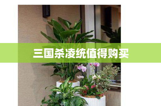三国杀凌统值得购买图片