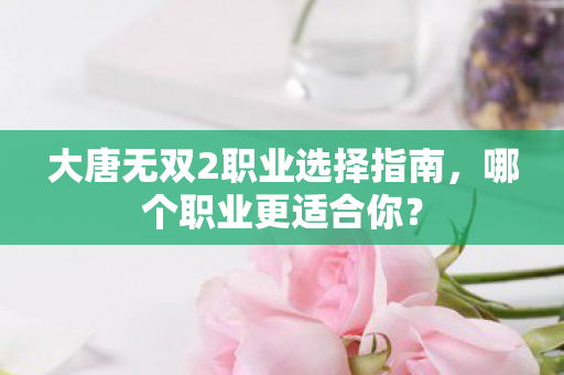 大唐无双2职业选择指南图片