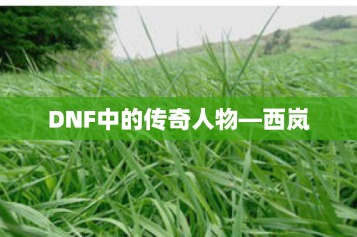 DNF中的传奇人物图片