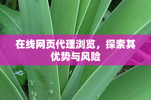 在线网页代理浏览图片