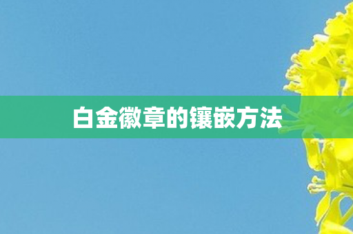 白金徽章的镶嵌方法图片
