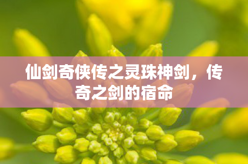 仙剑奇侠传之灵珠神剑图片