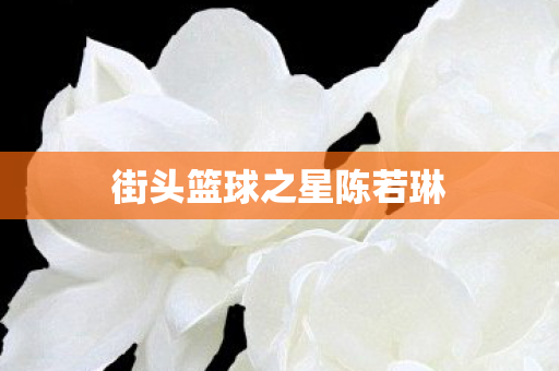 街头篮球之星陈若琳图片