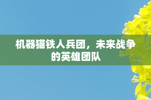未来战争的英雄团队图片