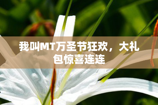 我叫MT万圣节狂欢图片