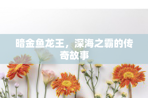 深海之霸的传奇故事图片