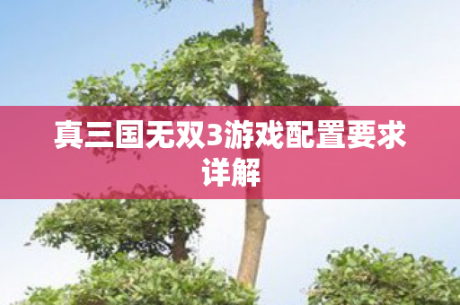 真三国无双3游戏配置要求详解图片