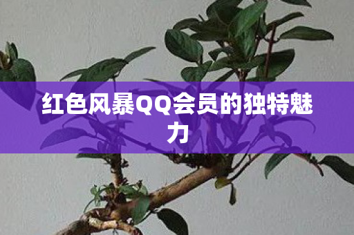 红色风暴QQ会员的独特魅力图片
