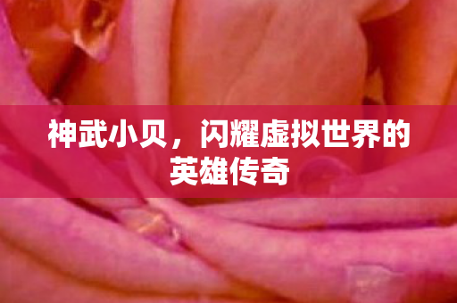 闪耀虚拟世界的英雄传奇图片