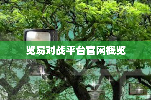 览易对战平台官网概览图片