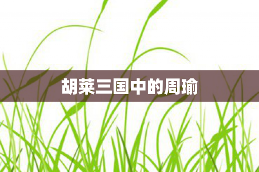 胡莱三国中的周瑜图片