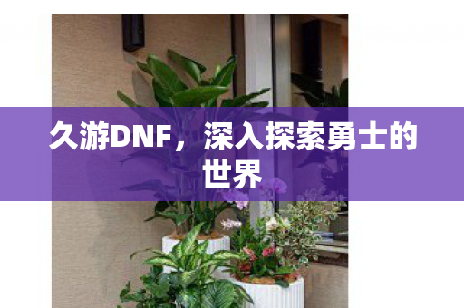 深入探索勇士的世界图片