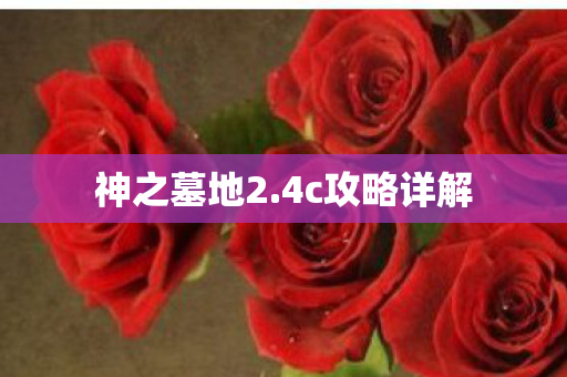 4c攻略详解图片