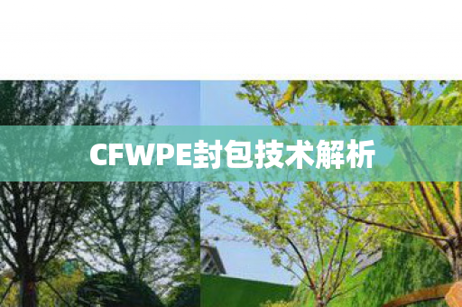 CFWPE封包技术解析图片