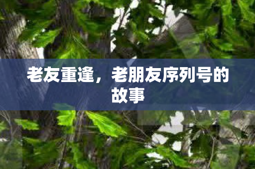 老朋友序列号的故事图片