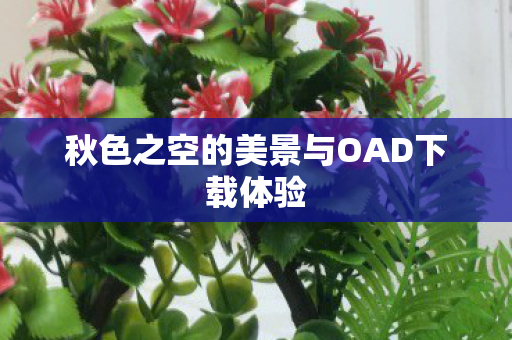 秋色之空的美景与OAD下载体验图片