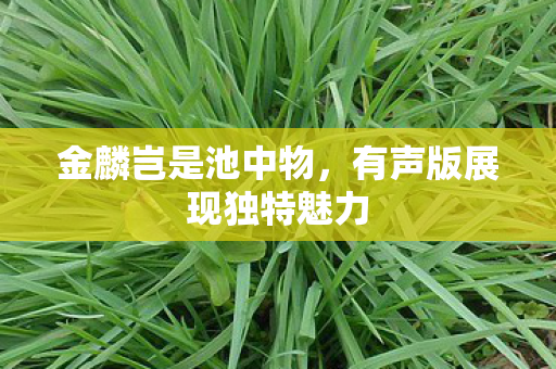 有声版展现独特魅力图片
