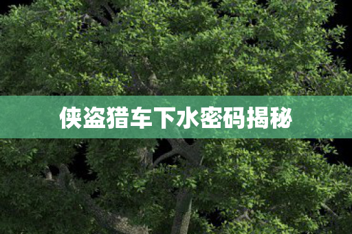 侠盗猎车下水密码揭秘图片