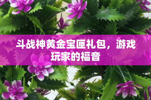 斗战神黄金宝匣礼包图片