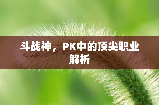 PK中的顶尖职业解析图片