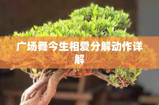广场舞今生相爱分解动作详解图片