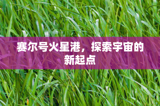 探索宇宙的新起点图片
