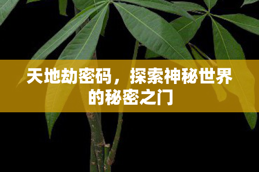 探索神秘世界的秘密之门图片