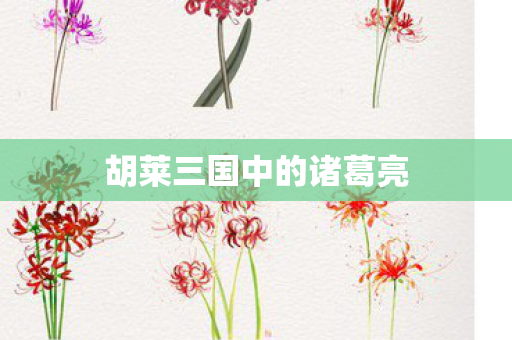 胡莱三国中的诸葛亮图片