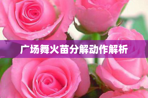广场舞火苗分解动作解析图片