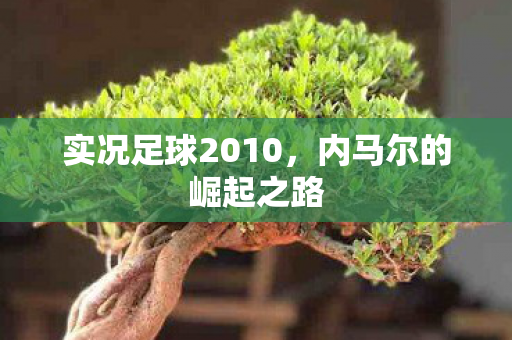 实况足球2010图片