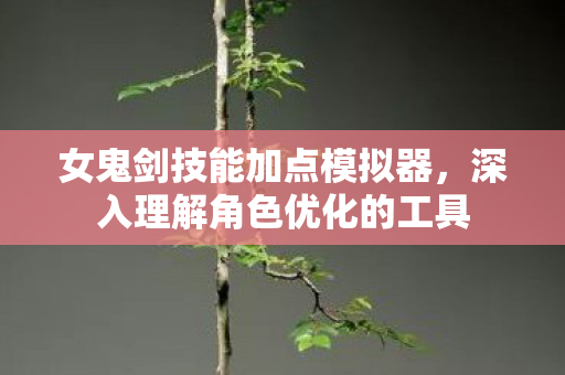 深入理解角色优化的工具图片