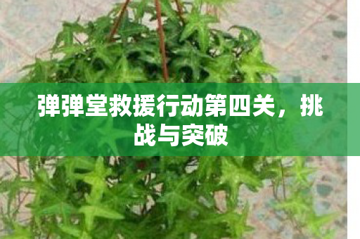 弹弹堂救援行动第四关图片