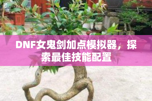 DNF女鬼剑加点模拟器图片