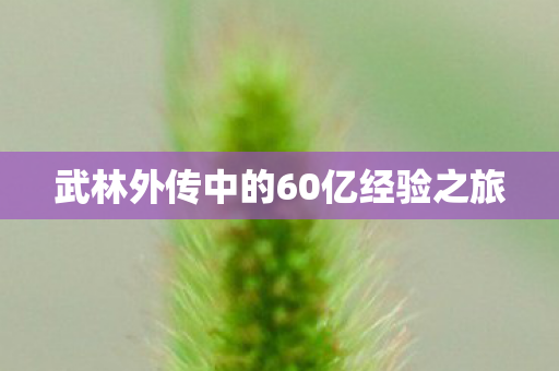 武林外传中的60亿经验之旅图片