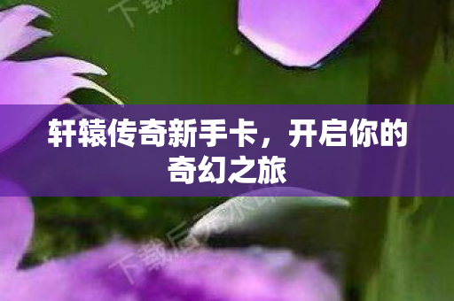 开启你的奇幻之旅图片