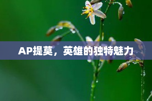 英雄的独特魅力图片